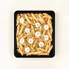 Penne Scampi